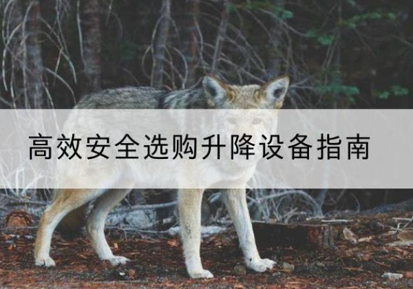 铁西升降货梯厂家推荐-*安全选购升降设备指南