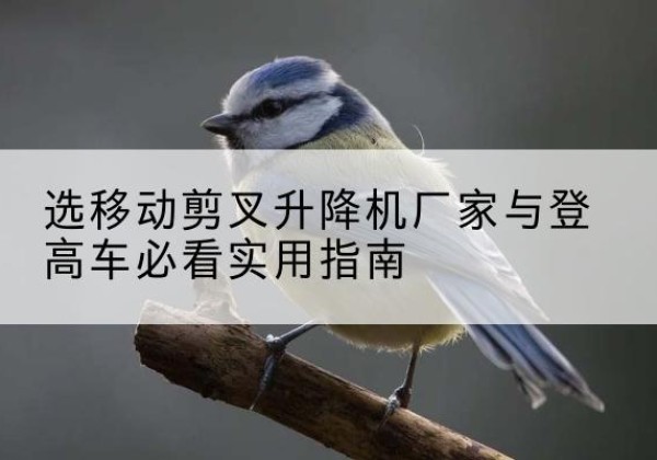 铁西电动升降机厂家-选移动剪叉升降机厂家与登高车必看实用指南